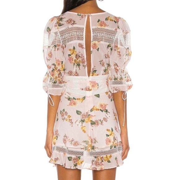 For Love & Lemons Isadora Mini Dress in Blush - Picture 15 of 16